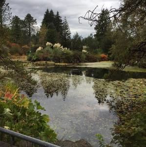 Meet your Posher, Jane